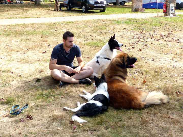 Et Vos Loulous quels places auront ils ? - 1