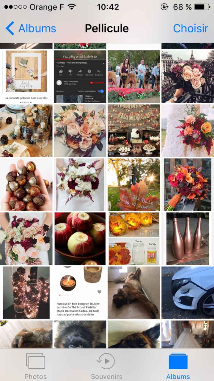 Quand le mariage envahit la pellicule - 1