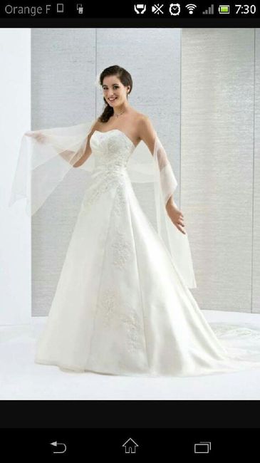 Mon portrait chinois de mariage - La robe de mariée - 1