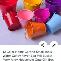 Plante en petit pot, mais quelle plante ? - 1