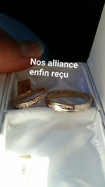 Nos bague - 1