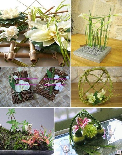 Thème Nature Verte 🌿🌻 8