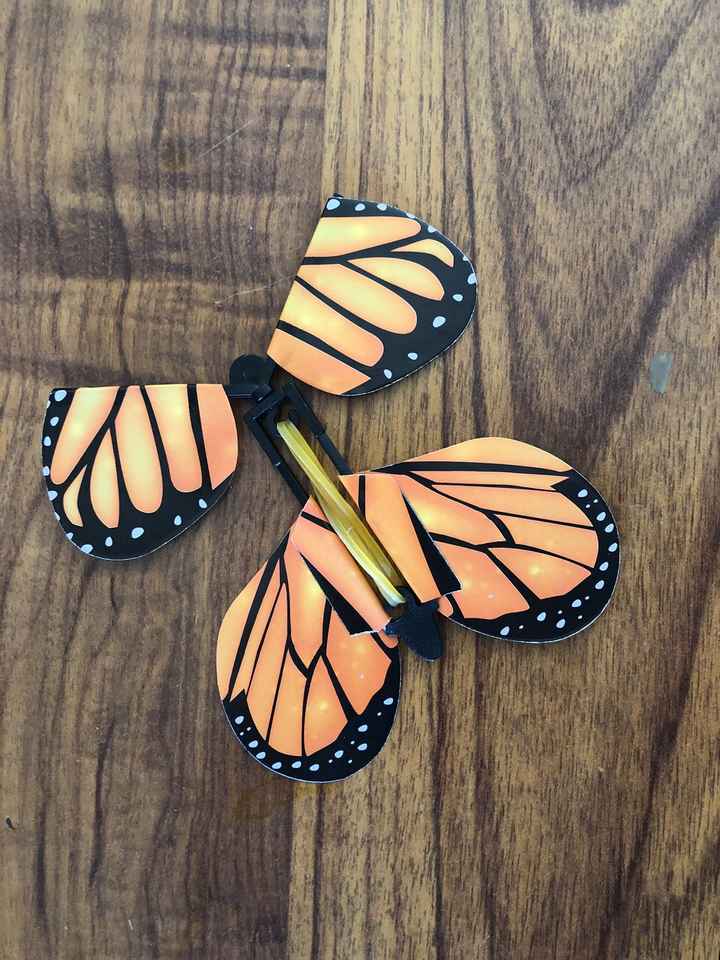 Papillon magique - 1