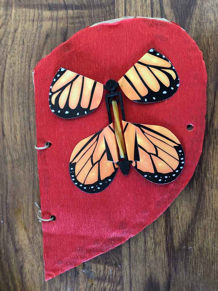 Papillon magique - 2