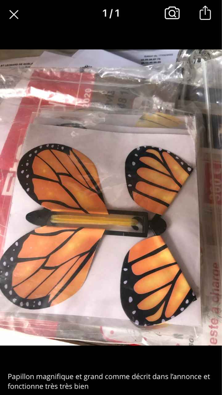 Sortie de mairie - 1