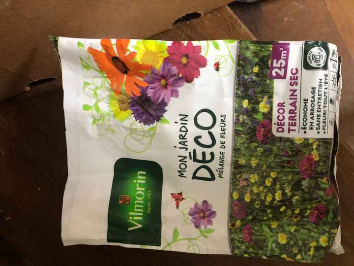 Graines à planter encore 😂 quantités ?? - 1