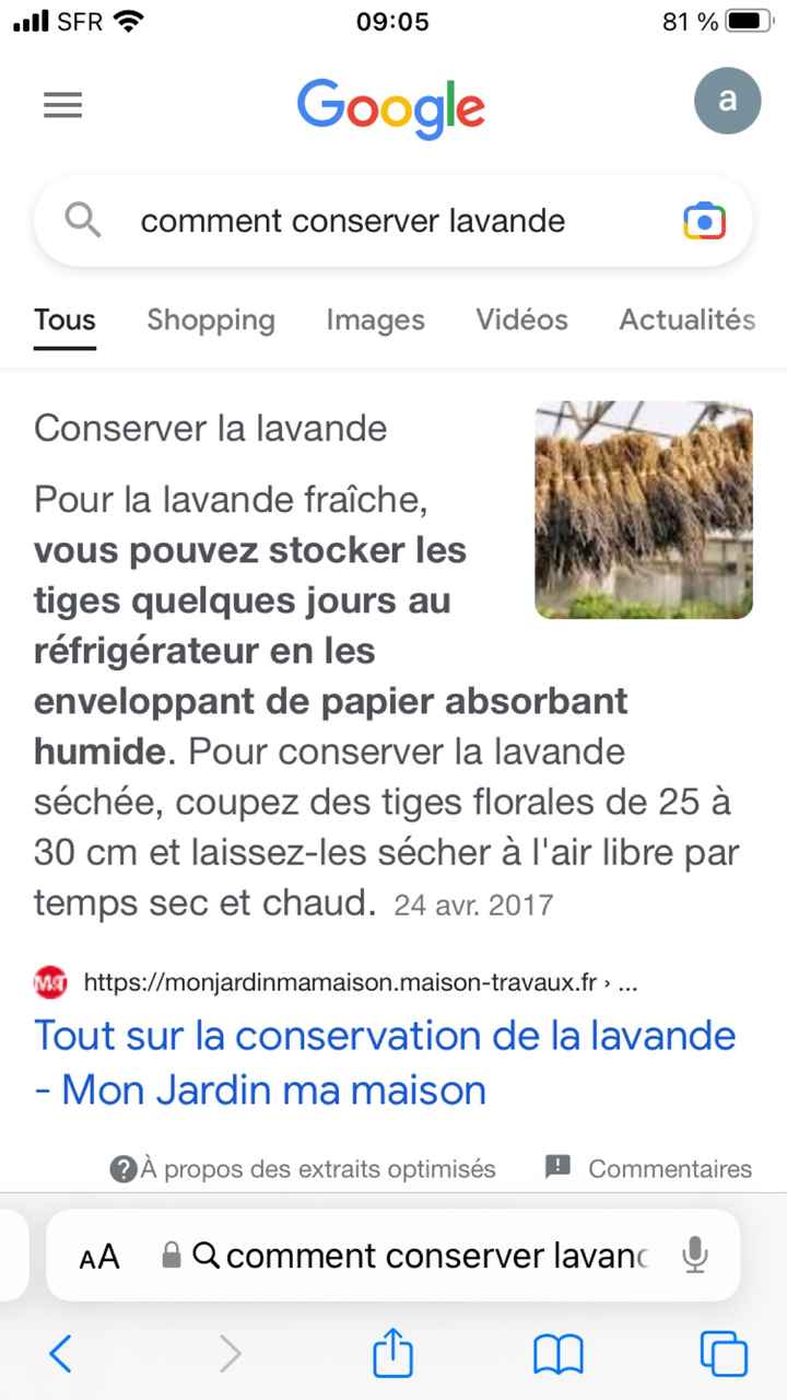 Confettis de lavande - 1