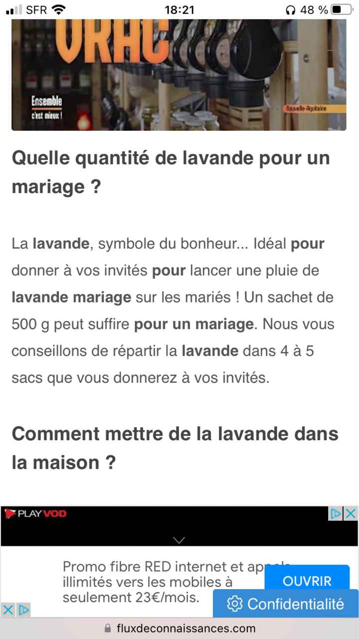 Lavande séchée - 1