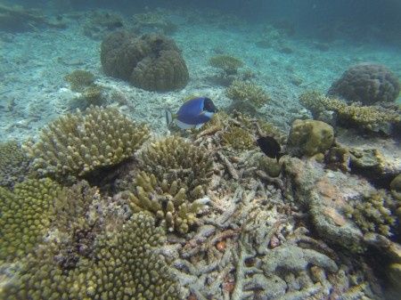 Voyage de noce aux maldives