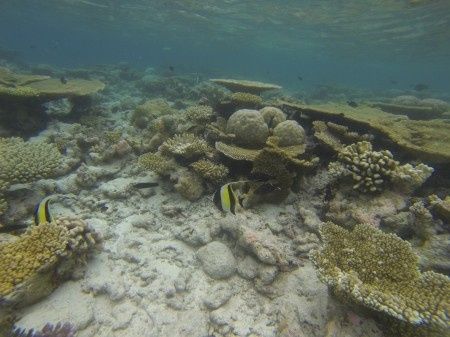 Voyage de noce aux maldives