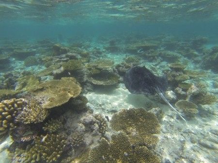Voyage de noce aux maldives