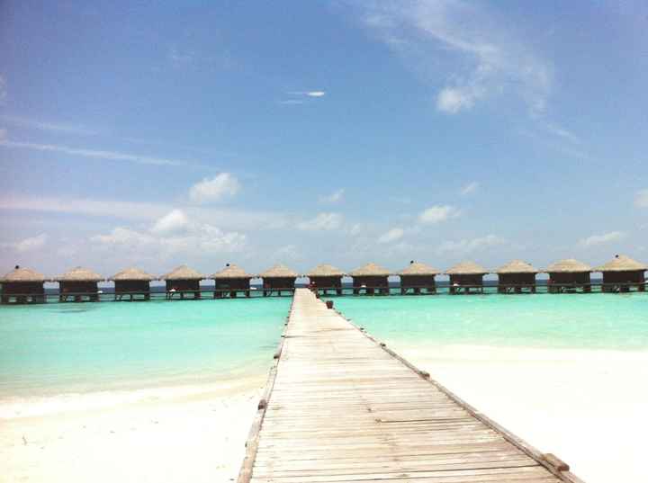 Voyage de noces : Maldives