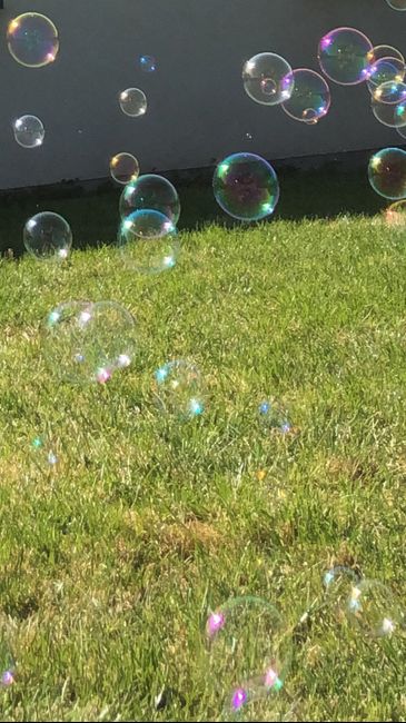 Bulles bulles bulles ! 4
