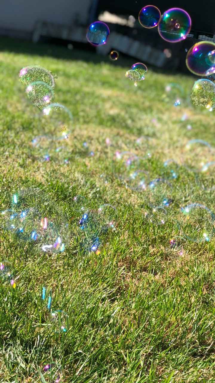 Bulles bulles bulles ! - 1