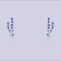 Tendance 5 de faire-part 👉 C'est pour moi ou ce n'est pas pour moi ? - 2