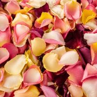 urgent - à vendre - pétales lyophilisées - région Bordelaise - 2