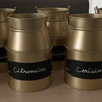 Avez-vous un thème pour le plan de table au lieu de numéros par exemples? - 1