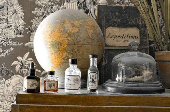 Cabinet de curiosité