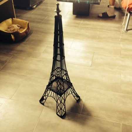 Mariage sur le thème "paris" - 1