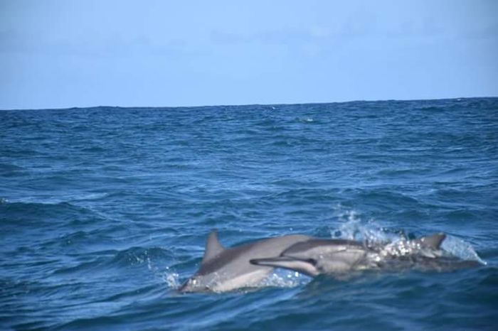 Notre merveilleux voyage à l'île maurice - 5