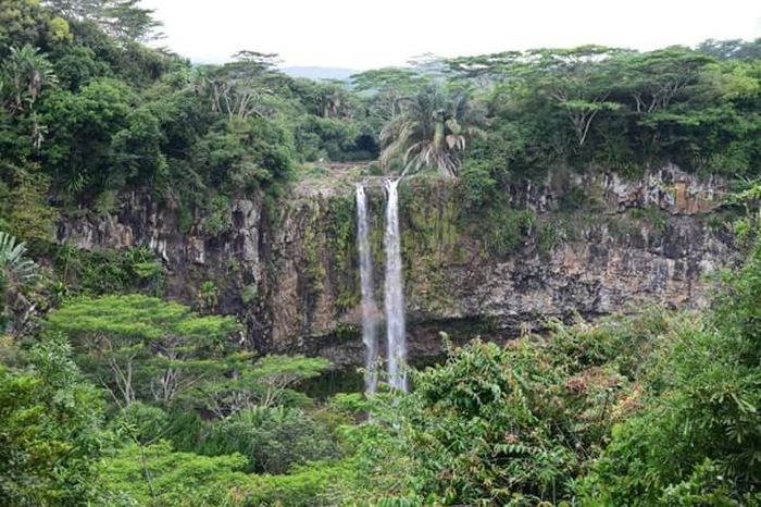 Notre merveilleux voyage à l'île maurice - 8