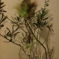 boule arbre à dragées