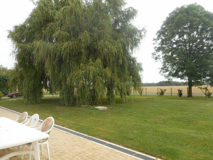 jardin derrière, pour l'animation des enfants