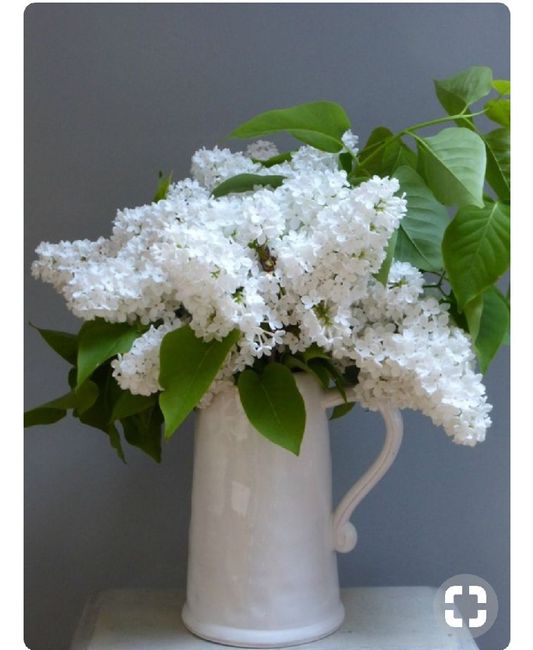  Inspiration fleur de lilas - 3
