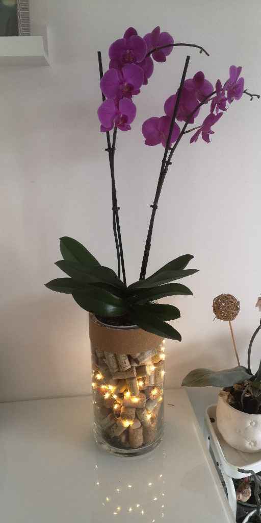 Arche, coin photos - 1