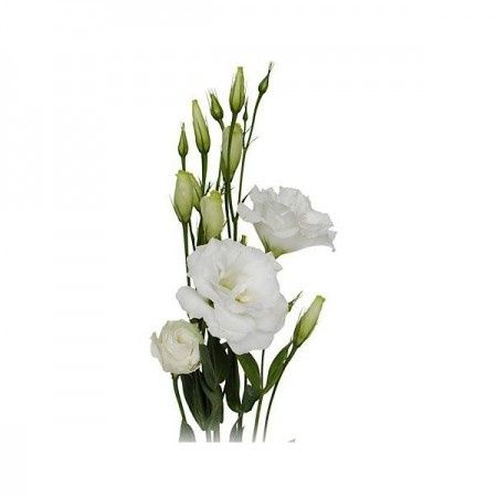 bouquet du 15 octobre 2013