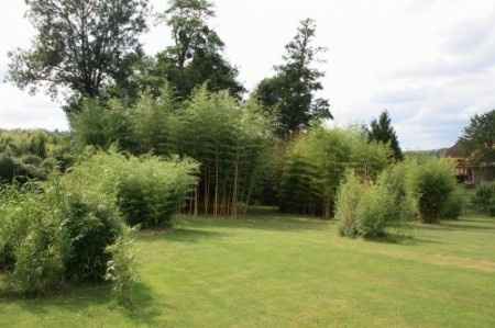 La bambouseraire de Fismes