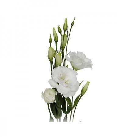 bouquet du 15 octobre 2013