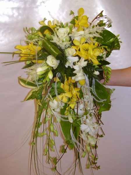 Les bouquets du 15 novembre 