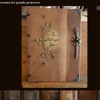 Livre d'or pas de coup de coeur.. - 1