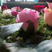 Mur de fleurs (artificielles) - 2