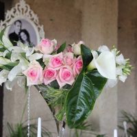nos fleurs