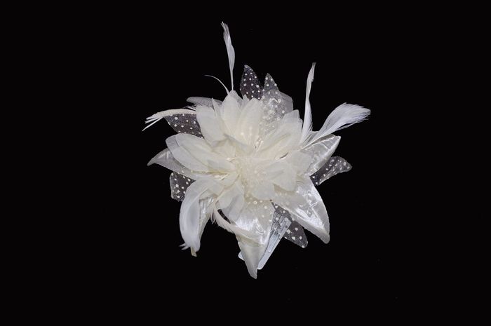 accessoire cheveux 2