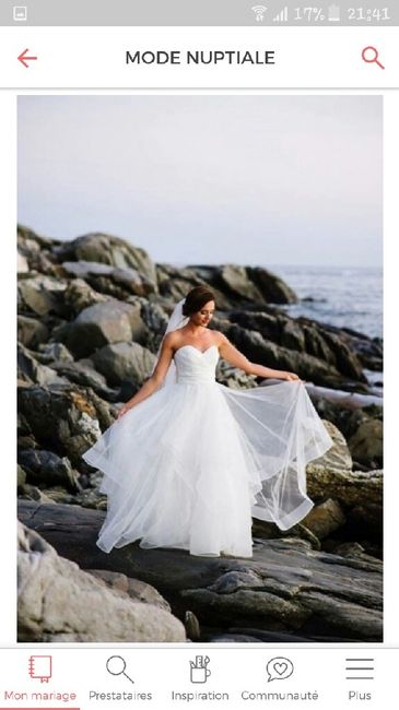 Mon mariage parfait - 2