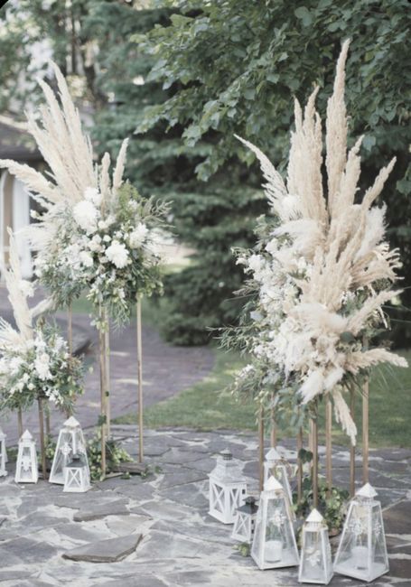 Ou trouver des pampas dans le 78 ? 1