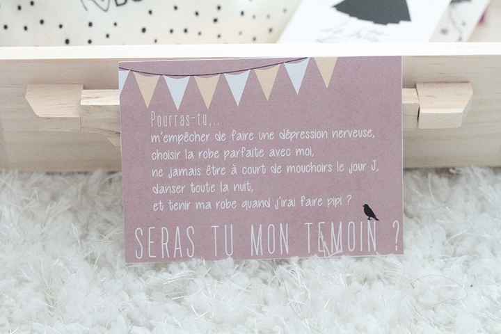 La petite valisette de ma témouine - 4