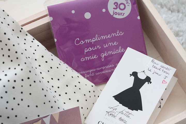 La petite valisette de ma témouine - 5