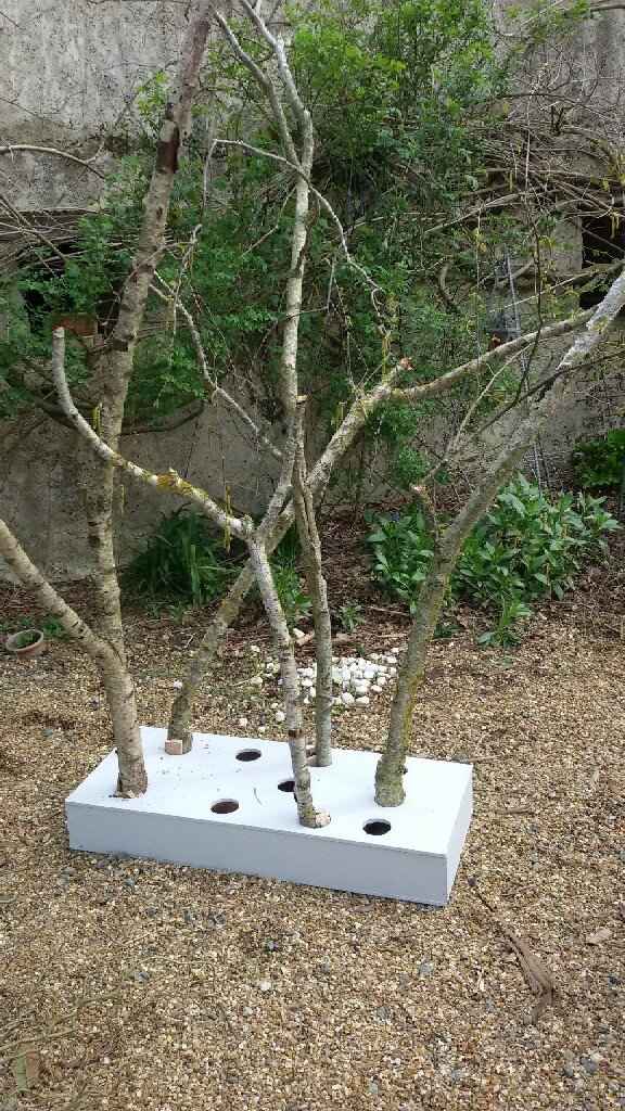 Diy  aujourd'hui. - 3