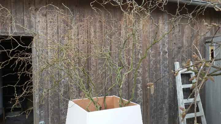 Diy  aujourd'hui. - 6