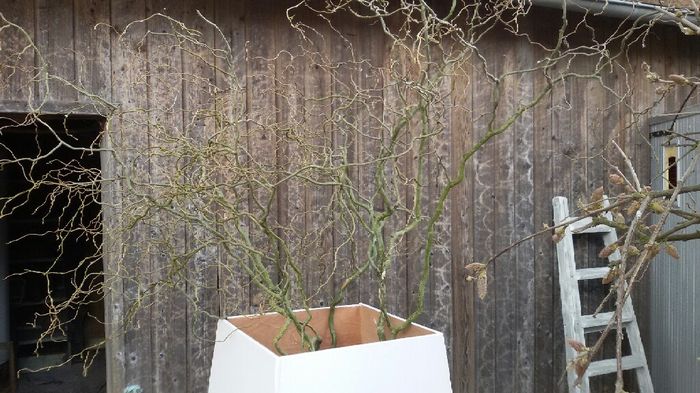 Diy  aujourd'hui. - 6