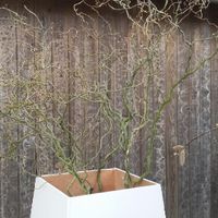 Diy  aujourd'hui. - 4