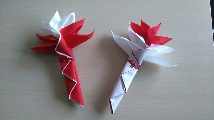 Essai de pliage de serviettes... qu'en pensez-vous ? - 2