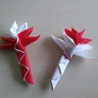 Essai de pliage de serviettes... qu'en pensez-vous ? - 1