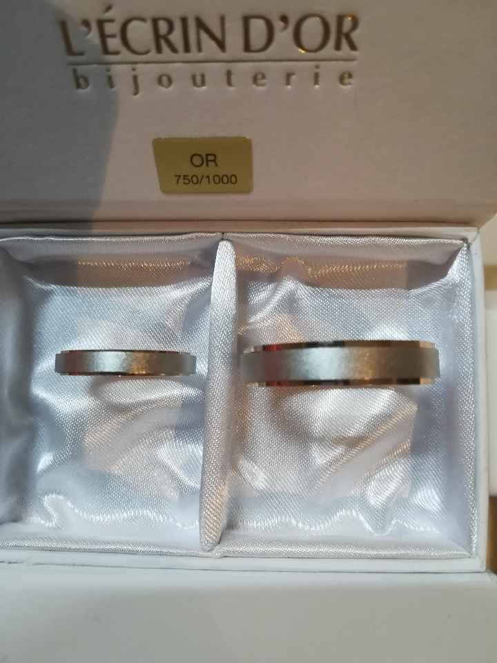 Les bonnes nouvelles du jour ! - 2