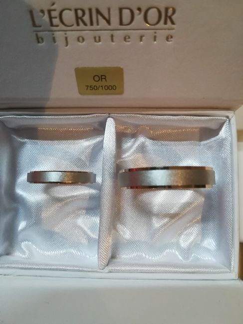 Les bonnes nouvelles du jour ! - 2