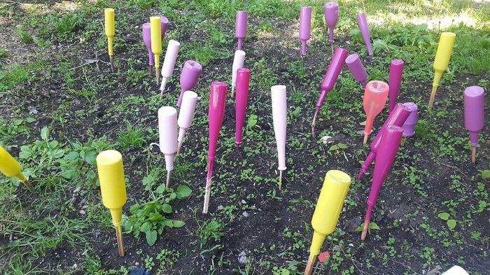 Des bouteilles par dizaines, pour mon centre de table ! - 1